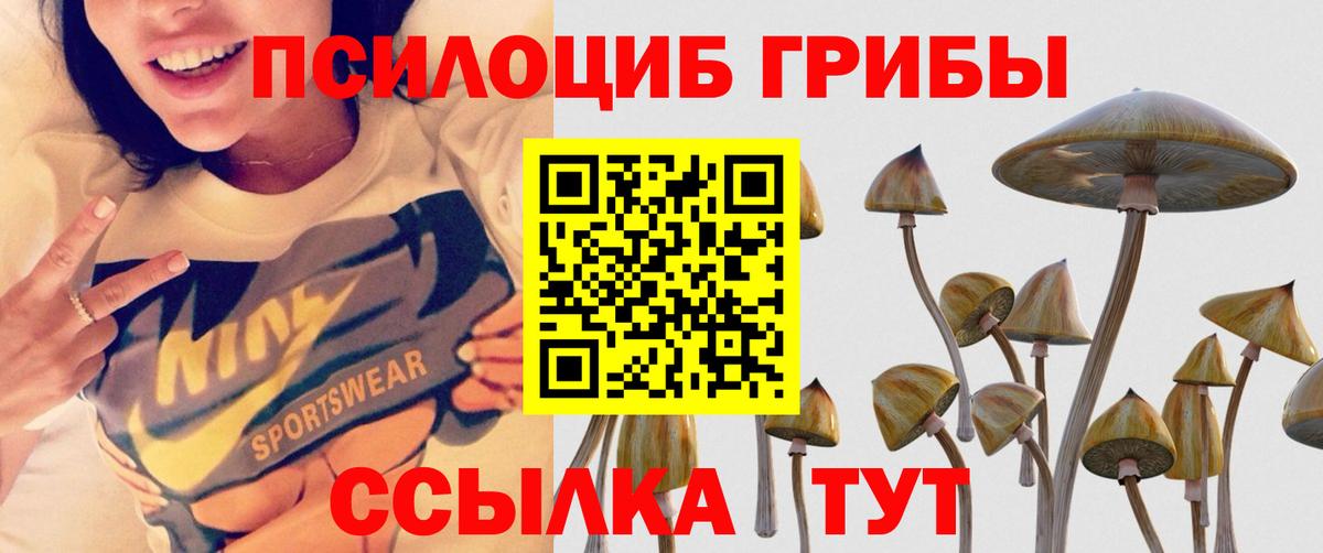 Кисловодск  Галлюциногенные грибы мухоморы  Псилоцибиновые грибы Cubensis  Вход с VPN 